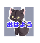 キュートな黒猫と仲間たち（個別スタンプ：1）