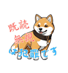 キュートな柴犬ベビーの生活Ver2(にほんご)（個別スタンプ：14）