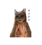 なんか友達の猫（個別スタンプ：23）