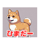 柴犬の日常会話スタンプ1（個別スタンプ：37）