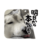 オレオ4（個別スタンプ：5）