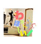 ぴんぽんとあくび 7（個別スタンプ：9）