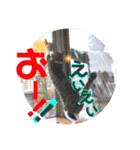 ぴんぽんとあくび 7（個別スタンプ：12）