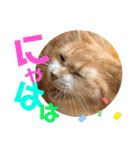 ぴんぽんとあくび 7（個別スタンプ：18）