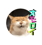 ぴんぽんとあくび 7（個別スタンプ：19）