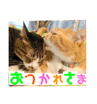ぴんぽんとあくび 7（個別スタンプ：32）