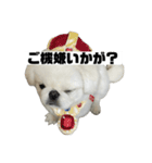 かわちいしらたまスタンプ3！（個別スタンプ：3）