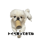 かわちいしらたまスタンプ3！（個別スタンプ：7）