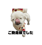 かわちいしらたまスタンプ3！（個別スタンプ：17）