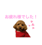実家の次女スタンプ（個別スタンプ：2）