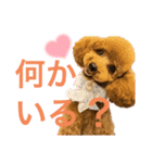 実家の次女スタンプ（個別スタンプ：7）