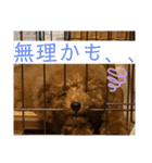 実家の次女スタンプ（個別スタンプ：14）