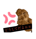 実家の次女スタンプ（個別スタンプ：15）