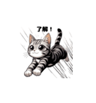 やんちゃのキジドラ ねこ 猫 ネコ グレイ（個別スタンプ：8）