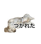 HIME 〜ひめ〜 ver.2（個別スタンプ：3）