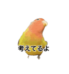 HIME 〜ひめ〜 ver.2（個別スタンプ：10）