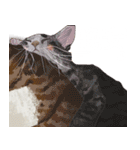 布団の中から出たくないの猫（個別スタンプ：3）