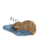 布団の中から出たくないの猫（個別スタンプ：6）