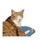 布団の中から出たくないの猫（個別スタンプ：12）