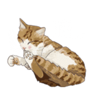 布団の中から出たくないの猫（個別スタンプ：24）