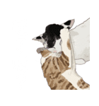 布団の中から出たくないの猫（個別スタンプ：31）