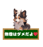 看板犬ふくの友達シェルティのアトムくん。（個別スタンプ：17）