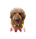 H沼家のワン坊ニャン坊②（個別スタンプ：23）