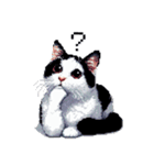 ドット絵 ハチワレ 白黒 日常会話（個別スタンプ：18）