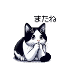 ドット絵 ハチワレ 白黒 日常会話（個別スタンプ：21）