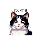 ドット絵 ハチワレ 白黒 日常会話（個別スタンプ：26）