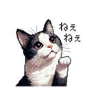 ドット絵 ハチワレ 白黒 日常会話（個別スタンプ：31）