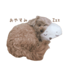 とんかつ犬ココ1（個別スタンプ：4）
