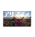 KEY-Chan FISHING 1st（個別スタンプ：1）