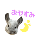 かくがりら（個別スタンプ：4）