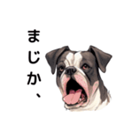 個性的な犬達のスタンプ（個別スタンプ：31）