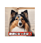 犬の図鑑スタンプ（個別スタンプ：18）