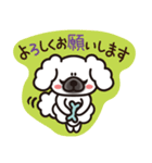 ペキニーズ 綿あめ犬 もふもふ白わんこ（個別スタンプ：13）