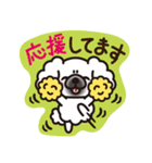 ペキニーズ 綿あめ犬 もふもふ白わんこ（個別スタンプ：22）