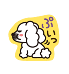 ペキニーズ 綿あめ犬 もふもふ白わんこ（個別スタンプ：27）