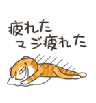 ランラン猫 25 (日本語)（個別スタンプ：7）