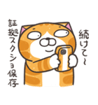 ランラン猫 25 (日本語)（個別スタンプ：8）