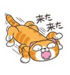 ランラン猫 25 (日本語)（個別スタンプ：23）