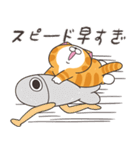 ランラン猫 25 (日本語)（個別スタンプ：24）