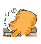 ランラン猫 25 (日本語)（個別スタンプ：31）