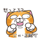 ランラン猫 25 (日本語)（個別スタンプ：38）