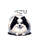 ドット絵 ポメラニアン 白黒 日常会話 40種（個別スタンプ：10）