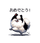 ドット絵 ポメラニアン 白黒 日常会話 40種（個別スタンプ：14）