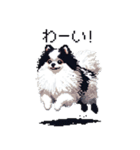 ドット絵 ポメラニアン 白黒 日常会話 40種（個別スタンプ：20）