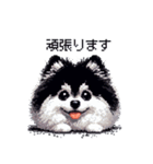 ドット絵 ポメラニアン 白黒 日常会話 40種（個別スタンプ：23）