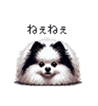 ドット絵 ポメラニアン 白黒 日常会話 40種（個別スタンプ：31）